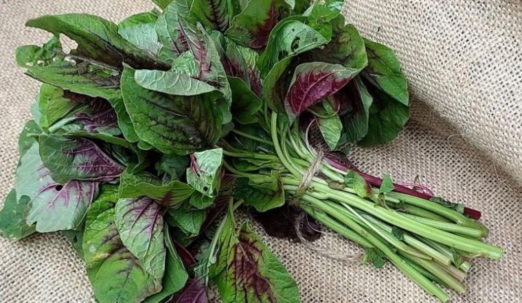 4 loại rau ở Việt Nam l&agrave; &ldquo;kho sắt xanh&rdquo;, bổ m&aacute;u hơn cả thịt b&ograve;: Top 1 tốt cho cả tim v&agrave; dạ d&agrave;y, nhiều người ch&ecirc; kh&ocirc;ng ăn- Ảnh 4.