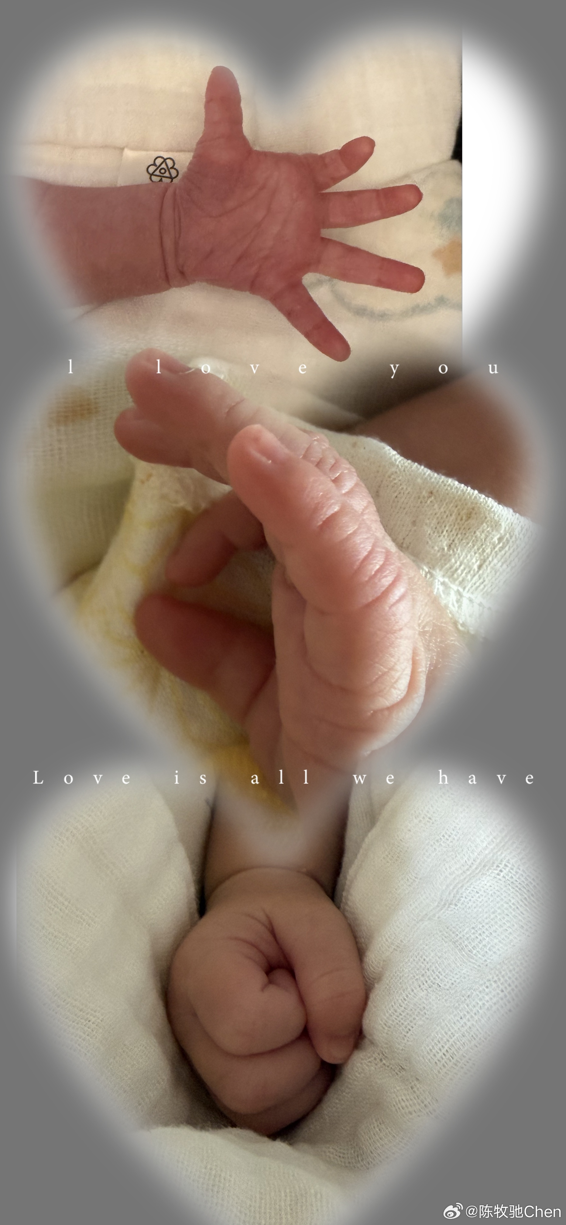 Trai đẹp gen Z đột ngột kết h&ocirc;n c&oacute; con với nữ đại gia 1 đời chồng sau 900 ng&agrave;y biến mất b&iacute; ẩn khỏi showbiz- Ảnh 4.