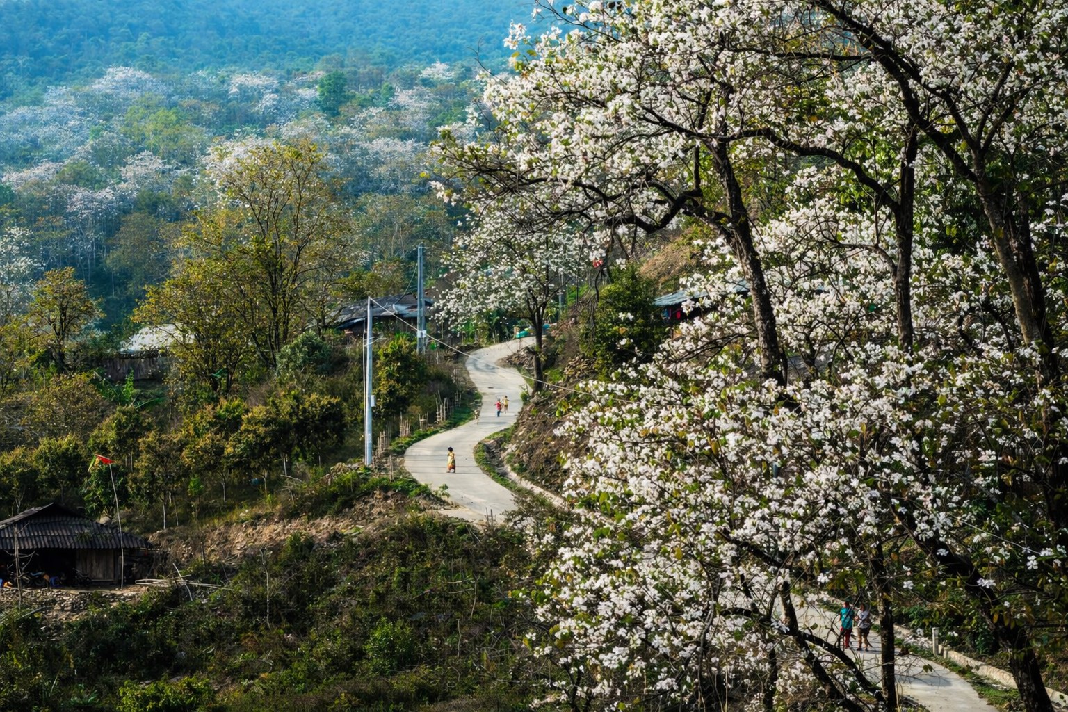 Vừa đầu th&aacute;ng 3, Vietnam Airlines bất ngờ tăng th&ecirc;m chuyến bay đến 1 địa điểm ph&iacute;a Bắc v&igrave; l&yacute; do đặc biệt- Ảnh 2.