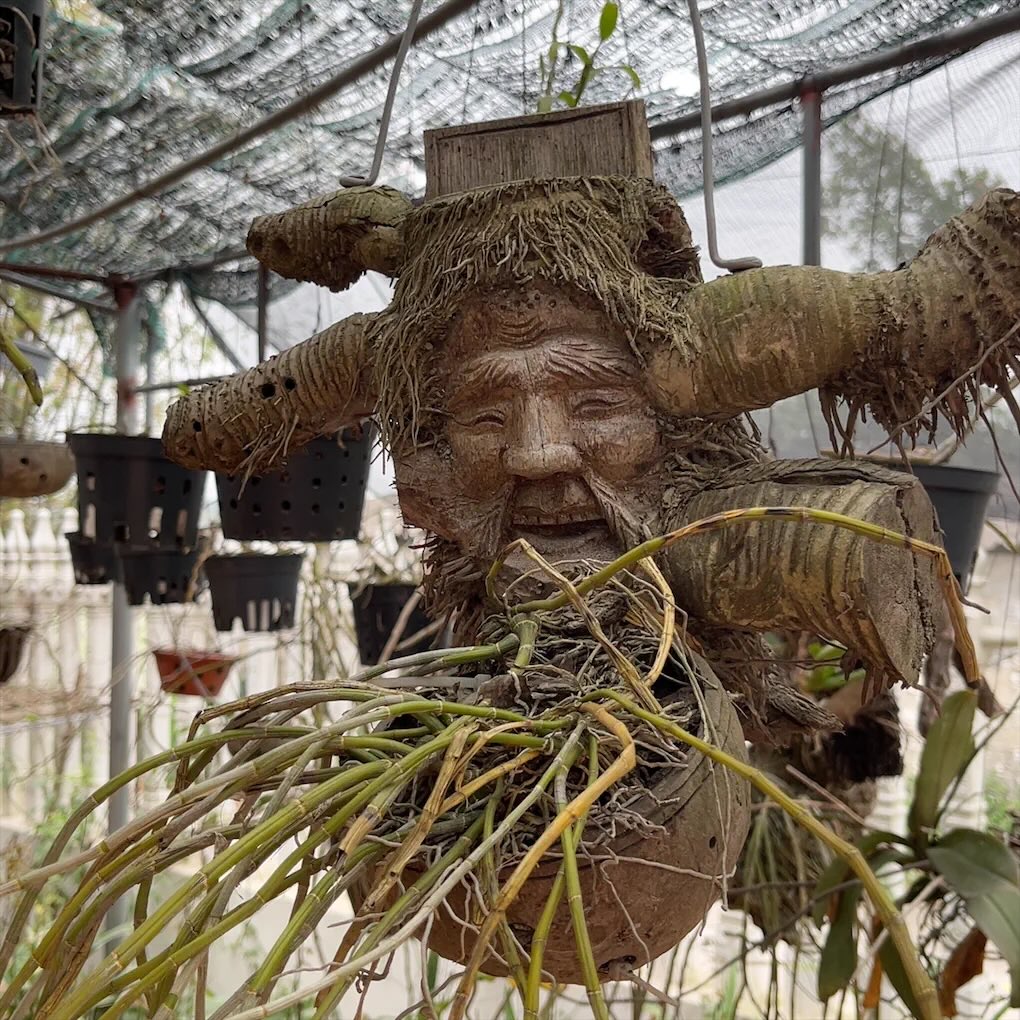 &ldquo;Qua nh&agrave; chị g&aacute;i chơi, ph&aacute;t hiện kho b&aacute;u của anh rể&rdquo;: C&acirc;u chuyện b&ugrave;ng nổ Threads từ 1 c&ocirc; g&aacute;i Bắc Ninh- Ảnh 7.