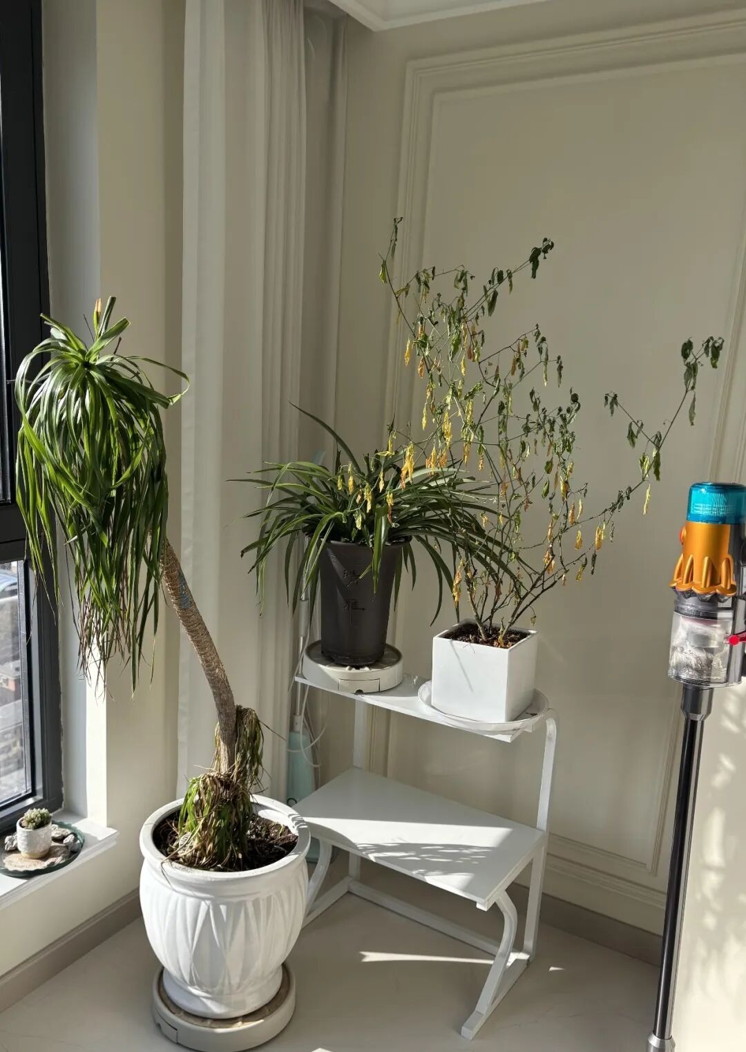 N&oacute;i thẳng: Dứt kho&aacute;t vứt 5 "đống r&aacute;c" trong nh&agrave;, cuộc sống tự khắc hanh th&ocirc;ng, nh&igrave;n đ&acirc;u cũng thấy cơ hội- Ảnh 5.