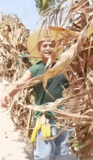 Dàn trai đẹp bỏ showbiz đi trồng lúa, nuôi gà: Từ đỉnh lưu cả nghìn fan nay diện mạo thay đổi khó nhận ra!- Ảnh 10. Dàn trai đẹp bỏ showbiz đi trồng lúa, nuôi gà: Từ đỉnh lưu cả nghìn fan nay diện mạo thay đổi khó nhận ra!- Ảnh 10.