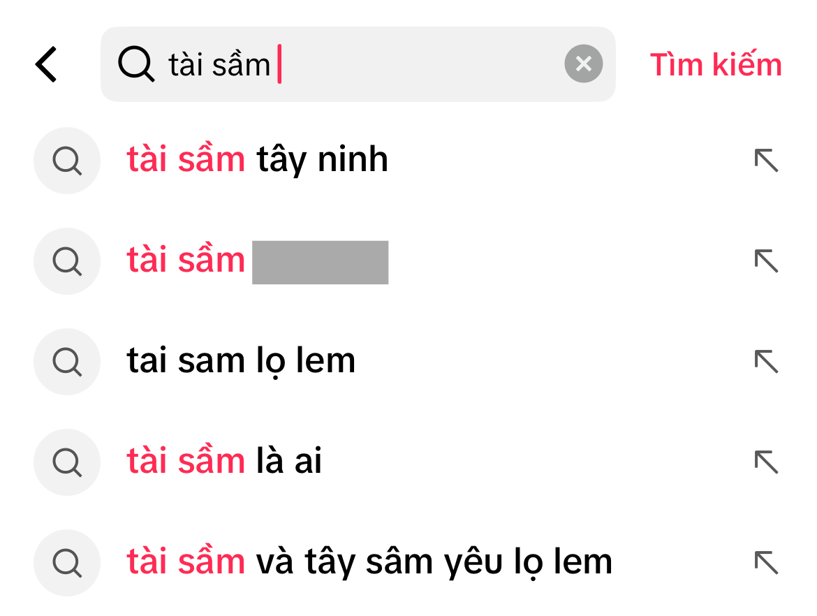 T&agrave;i Sầm - người gắn với từ kho&aacute; &ldquo;bạn trai Lọ Lem&rdquo; l&agrave; ai?- Ảnh 2.