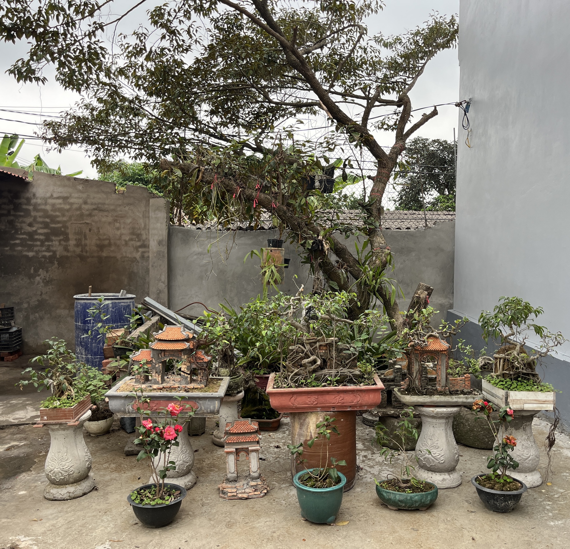 &ldquo;Qua nh&agrave; chị g&aacute;i chơi, ph&aacute;t hiện kho b&aacute;u của anh rể&rdquo;: C&acirc;u chuyện b&ugrave;ng nổ Threads từ 1 c&ocirc; g&aacute;i Bắc Ninh- Ảnh 10.