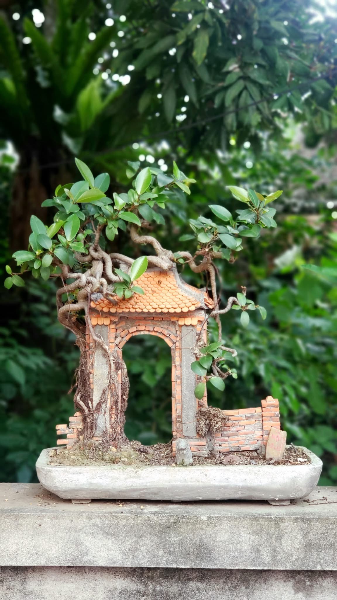 &ldquo;Qua nh&agrave; chị g&aacute;i chơi, ph&aacute;t hiện kho b&aacute;u của anh rể&rdquo;: C&acirc;u chuyện b&ugrave;ng nổ Threads từ 1 c&ocirc; g&aacute;i Bắc Ninh- Ảnh 11.