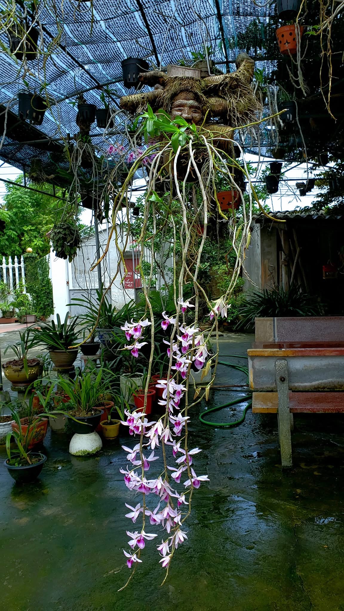 &ldquo;Qua nh&agrave; chị g&aacute;i chơi, ph&aacute;t hiện kho b&aacute;u của anh rể&rdquo;: C&acirc;u chuyện b&ugrave;ng nổ Threads từ 1 c&ocirc; g&aacute;i Bắc Ninh- Ảnh 13.