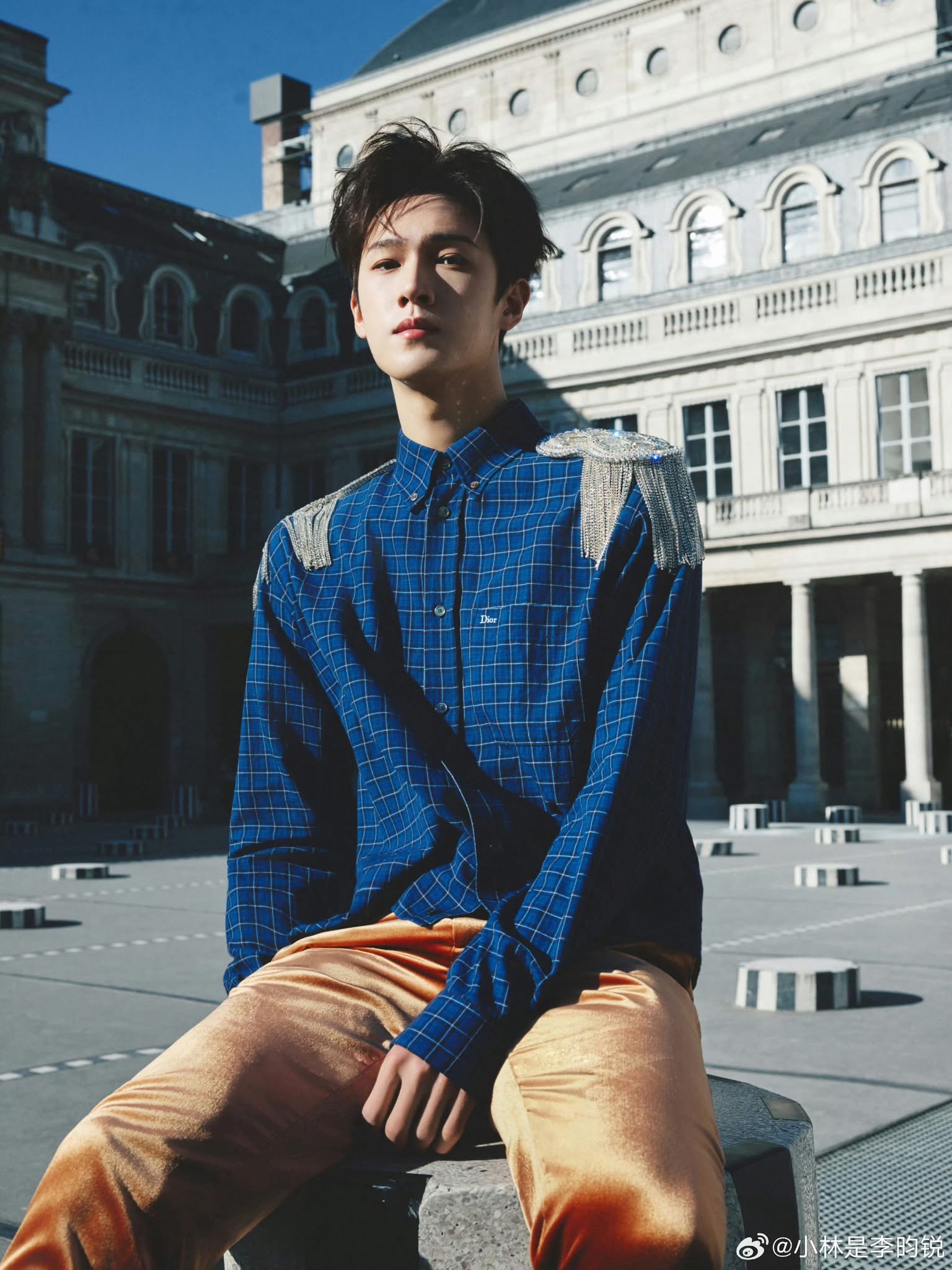 Chỉ thấy sự xinh đẹp của Jisoo tại show Dior- Ảnh 17.