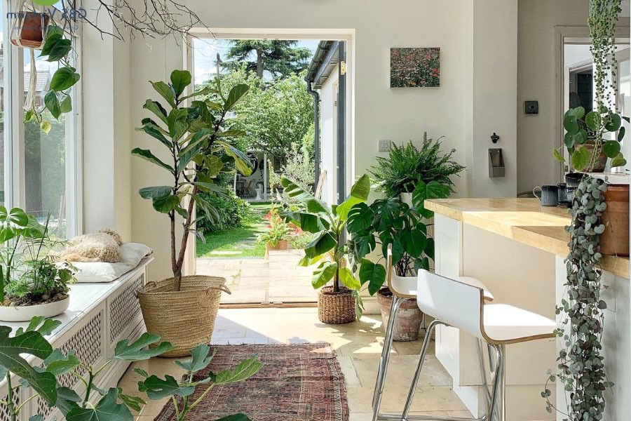 &Ocirc;ng b&agrave; n&oacute;i: "Vận đến kh&ocirc;ng ồn &agrave;o, nhưng sẽ c&oacute; điềm b&aacute;o" - 6 dấu hiệu cho biết nh&agrave; bạn c&oacute; lộc trời ban- Ảnh 1.