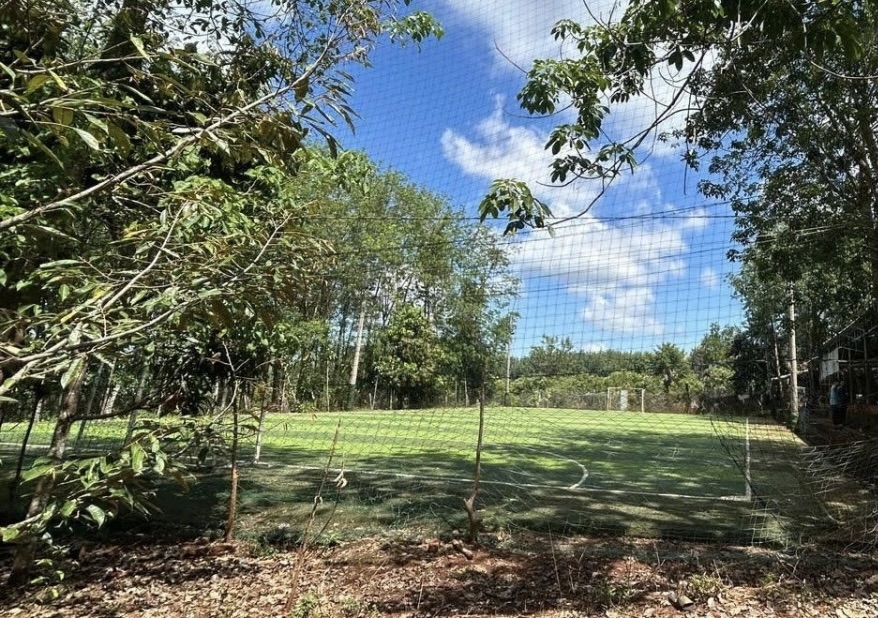 Điều tra 3 vụ điện giật thương t&acirc;m ở Đồng Nai- Ảnh 1.