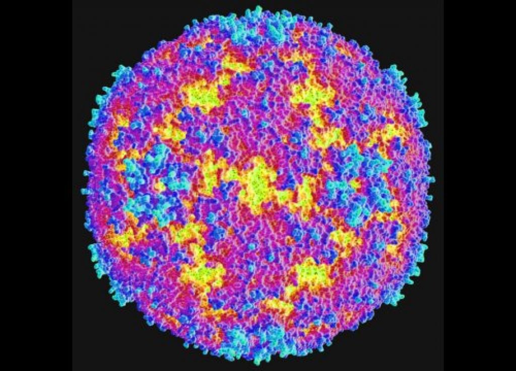 Virus EV71 l&agrave; g&igrave; m&agrave; g&acirc;y bệnh phổ biến ở trẻ nhỏ, nguy cơ b&ugrave;ng dịch cao- Ảnh 1.