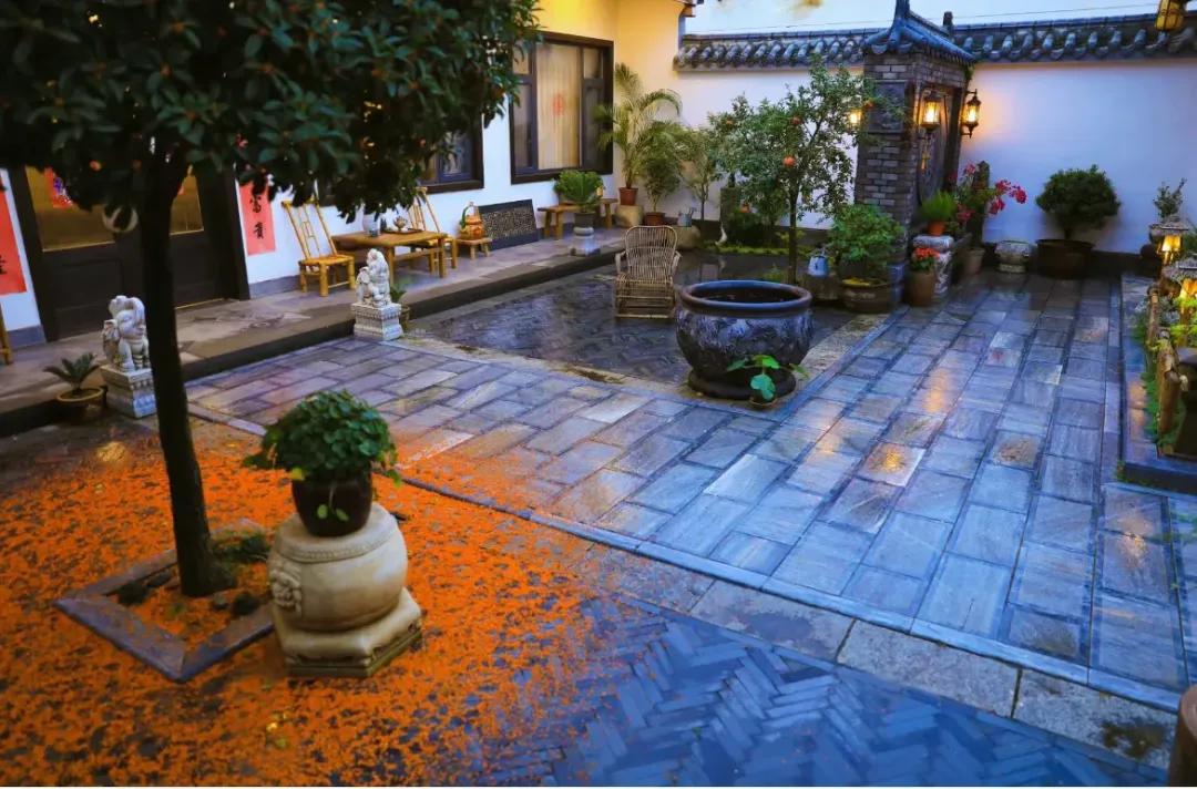 Bỏ phố về qu&ecirc;, người đ&agrave;n &ocirc;ng cải tạo s&acirc;n 100m&sup2; đẹp suốt 4 m&ugrave;a: Kh&ocirc;ng cần gi&agrave;u vẫn sống an y&ecirc;n- Ảnh 4.