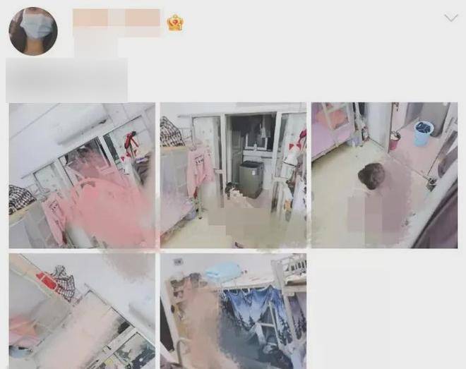 Muốn nổi tiếng đến mức "b&aacute;n đứng" cả mẹ m&igrave;nh: Những đứa con m&eacute;o m&oacute; đến mức kh&oacute; tin!- Ảnh 1.