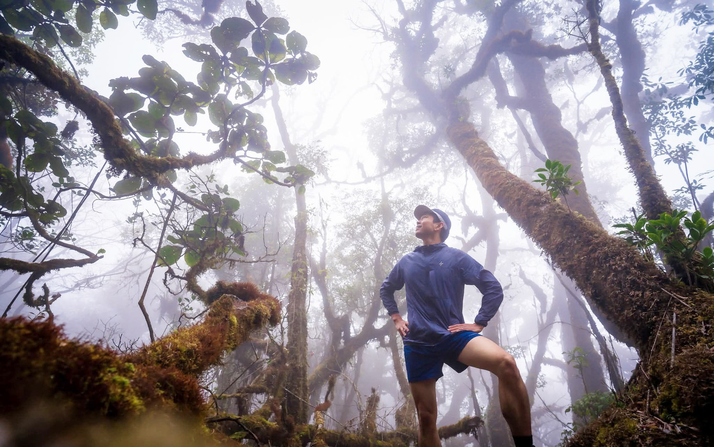 Mục sở thị khu rừng nguy&ecirc;n sinh 'độc nhất v&ocirc; nhị' ở Sơn La- Ảnh 2.