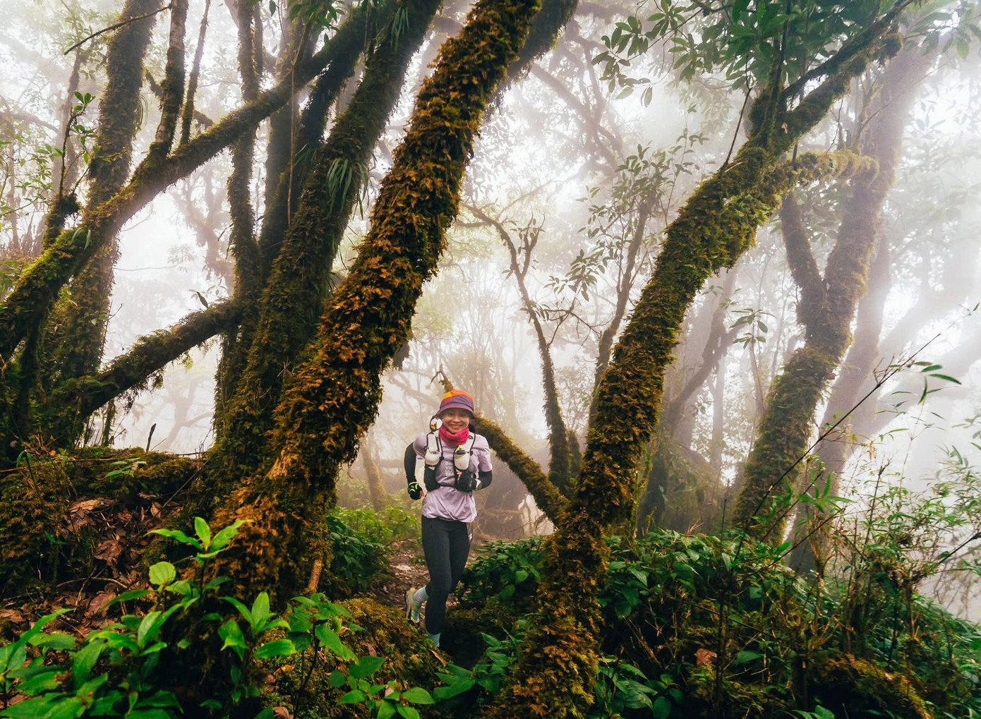 Mục sở thị khu rừng nguy&ecirc;n sinh 'độc nhất v&ocirc; nhị' ở Sơn La- Ảnh 1.