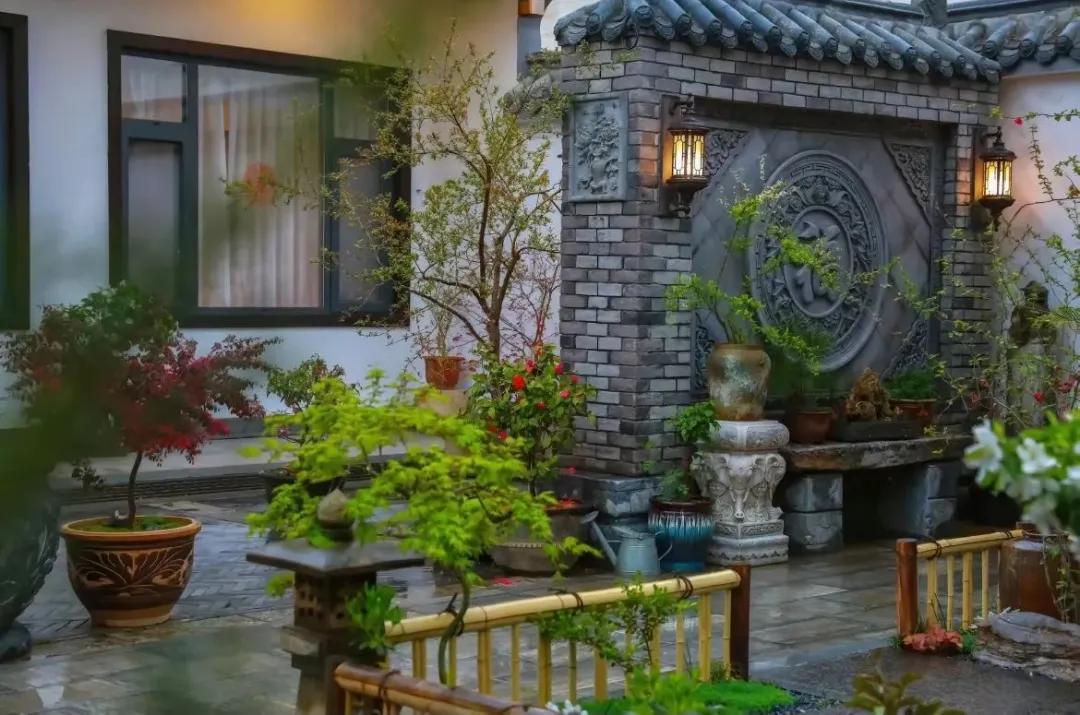 Bỏ phố về qu&ecirc;, người đ&agrave;n &ocirc;ng cải tạo s&acirc;n 100m&sup2; đẹp suốt 4 m&ugrave;a: Kh&ocirc;ng cần gi&agrave;u vẫn sống an y&ecirc;n- Ảnh 6.