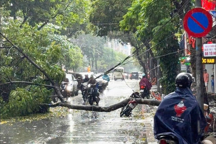 Mưa d&ocirc;ng l&agrave;m 4 người chết, 9 người bị thương- Ảnh 1.