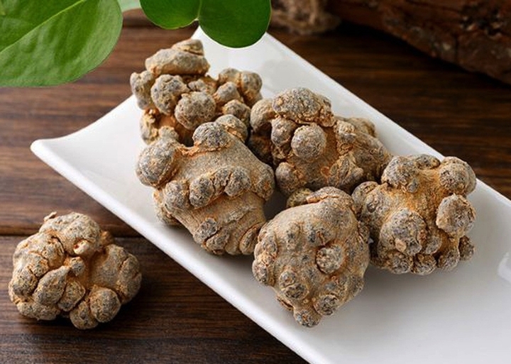 C&acirc;y tam thất c&oacute; t&aacute;c dụng g&igrave;?- Ảnh 1.