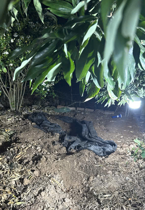 Bắt nghi phạm s&aacute;t hại cụ b&agrave; 87 tuổi, phi tang thi thể tại vườn chuối- Ảnh 2.