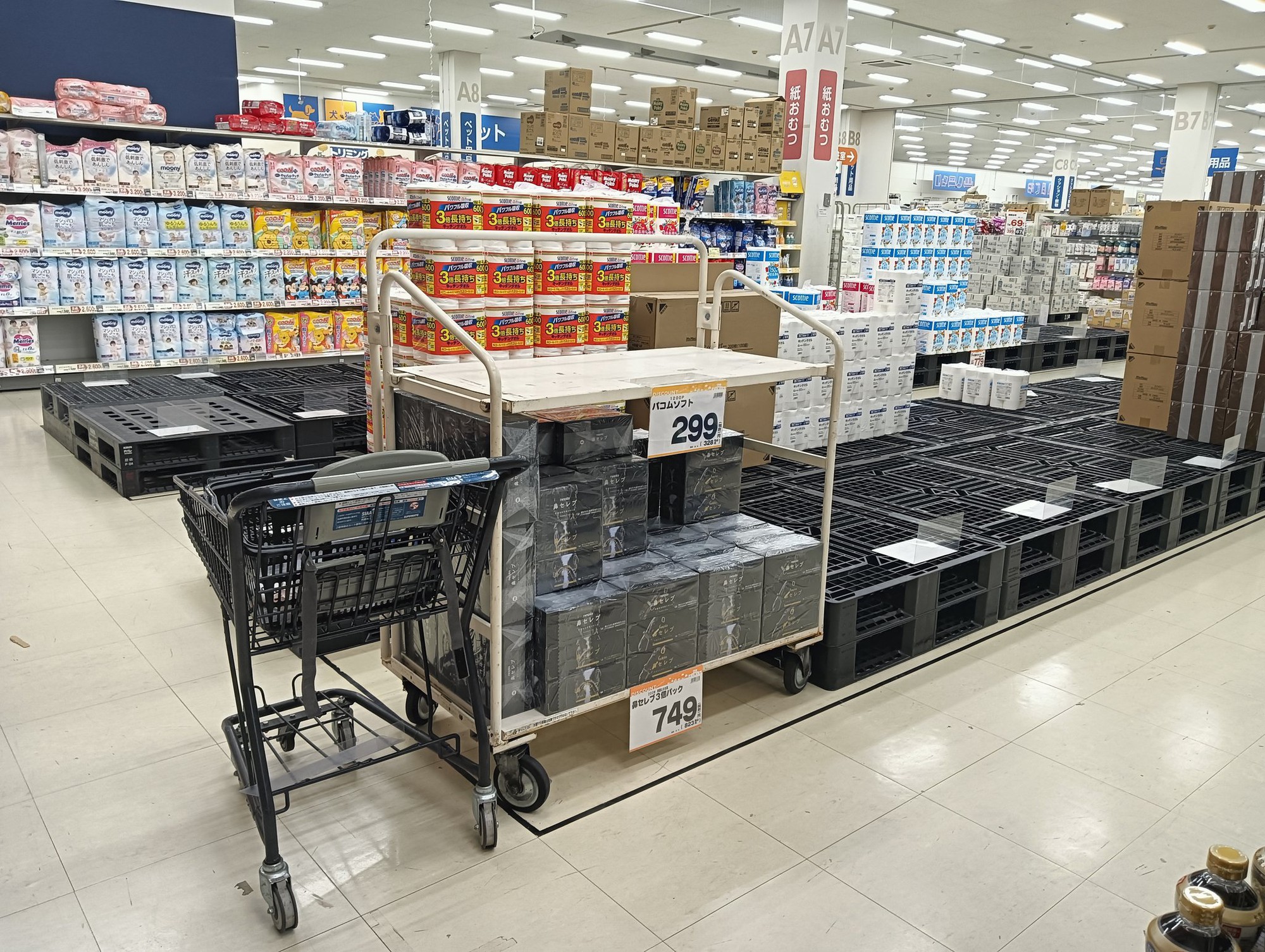 Xung đột Trung Đ&ocirc;ng k&eacute;o d&agrave;i, người d&acirc;n Nhật Bản đổ x&ocirc; t&iacute;ch trữ giấy vệ sinh- Ảnh 1.