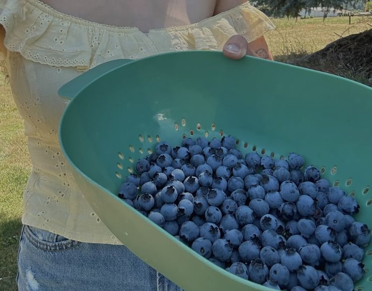 Nghi&ecirc;n cứu mới ph&aacute;t hiện BXH 4 "tr&aacute;i c&acirc;y hạnh ph&uacute;c", ăn v&agrave;o l&agrave; vui vẻ, chống trầm cảm: Đều rất quen với người Việt- Ảnh 3.