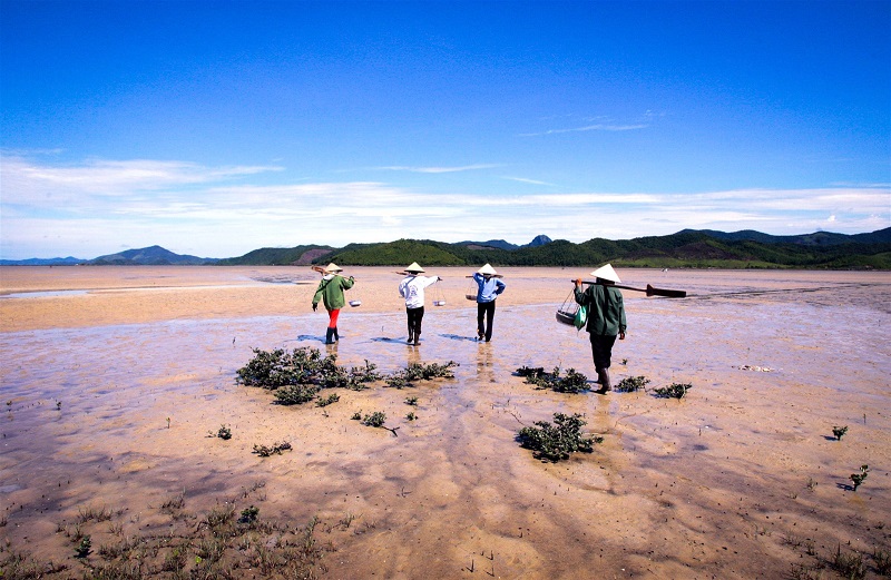 Chạm mốc 6.000.000 đồng/kg sinh vật lúc nhúc nhìn như giun đất ở Quảng Ninh, xưa chỉ siêu giàu dám tẩm bổ nay đại gia vẫn ráo riết săn lùng- Ảnh 2. Chạm mốc 6.000.000 đồng/kg sinh vật lúc nhúc nhìn như giun đất ở Quảng Ninh, xưa chỉ siêu giàu dám tẩm bổ nay đại gia vẫn ráo riết săn lùng- Ảnh 2.