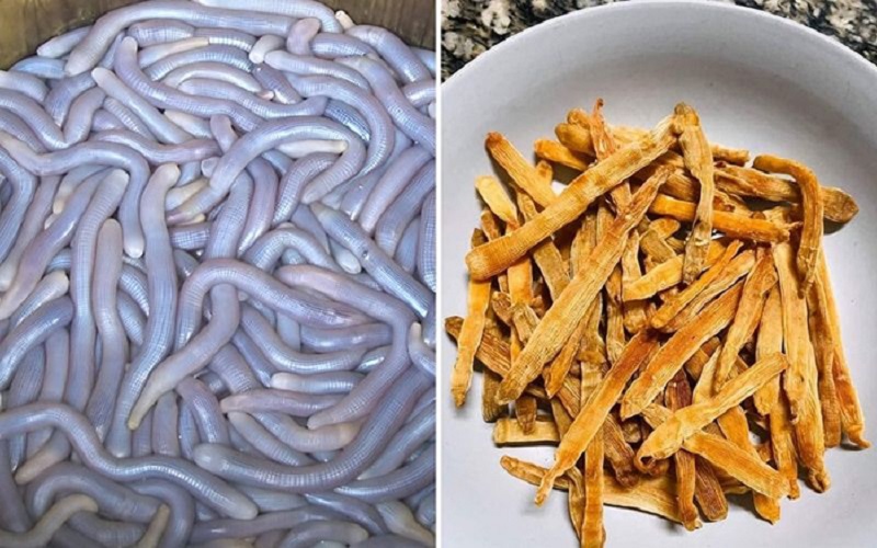 Chạm mốc 6.000.000 đồng/kg sinh vật lúc nhúc nhìn như giun đất ở Quảng Ninh, xưa chỉ siêu giàu dám tẩm bổ nay đại gia vẫn ráo riết săn lùng- Ảnh 3. Chạm mốc 6.000.000 đồng/kg sinh vật lúc nhúc nhìn như giun đất ở Quảng Ninh, xưa chỉ siêu giàu dám tẩm bổ nay đại gia vẫn ráo riết săn lùng- Ảnh 3.