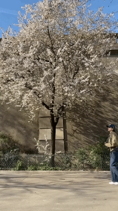 H&agrave; Tăng c&agrave;ng cố mặc đơn giản c&agrave;ng "ph&aacute;t s&aacute;ng" trong đ&aacute;m đ&ocirc;ng- Ảnh 4.