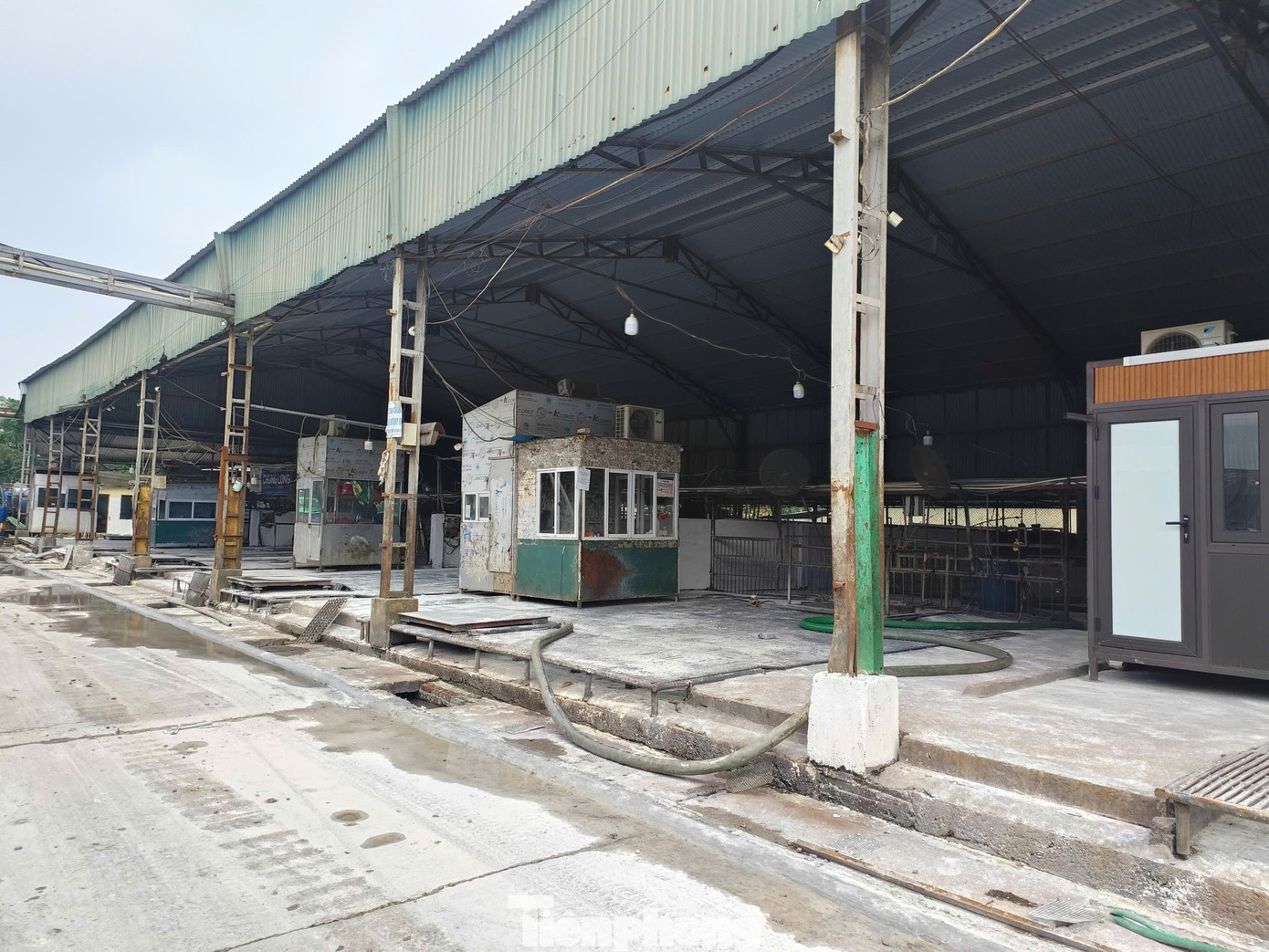 Tận thấy l&ograve; mổ gần 300 tấn lợn bệnh ở H&agrave; Nội- Ảnh 8.