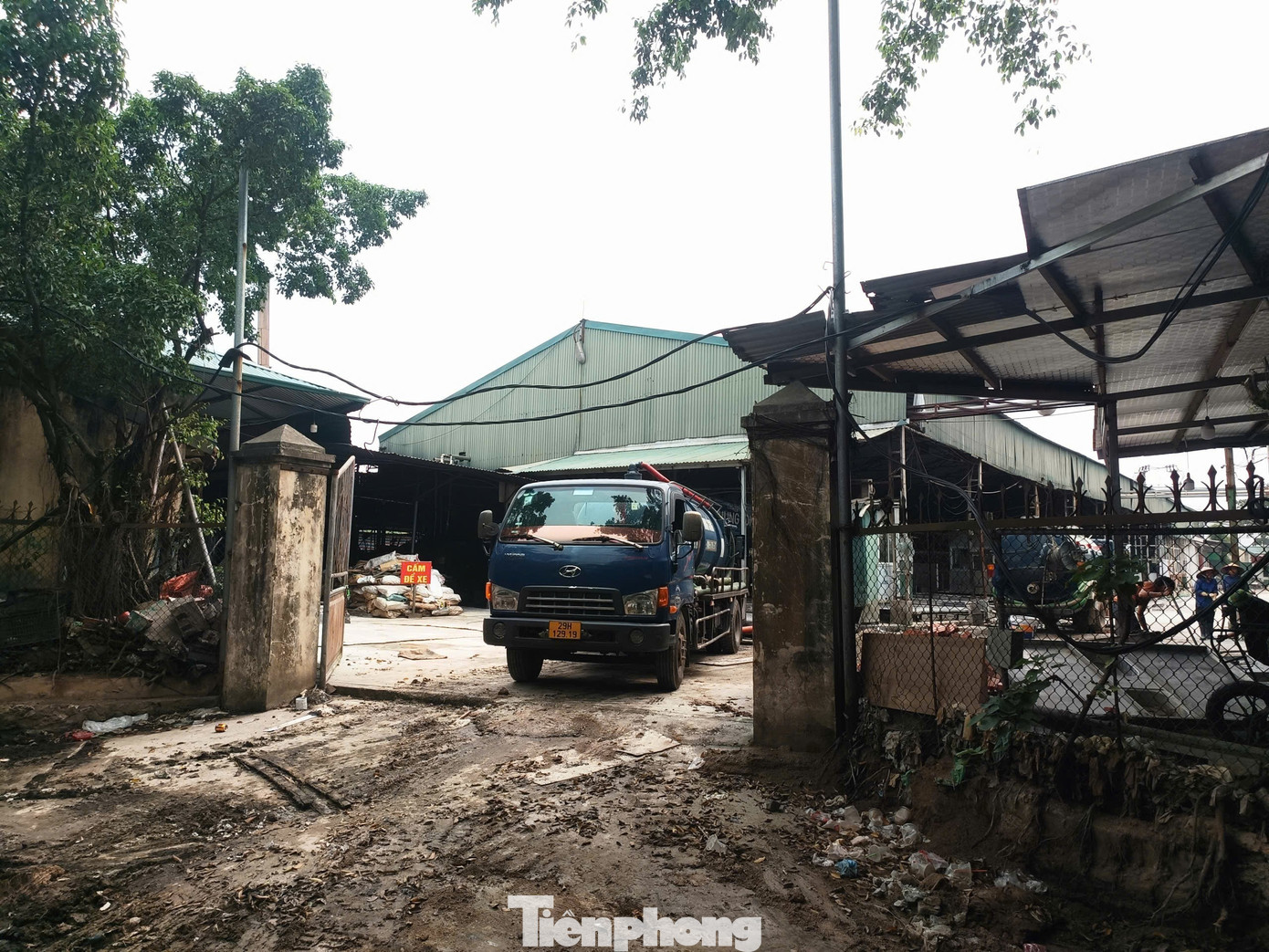 Tận thấy l&ograve; mổ gần 300 tấn lợn bệnh ở H&agrave; Nội- Ảnh 3.