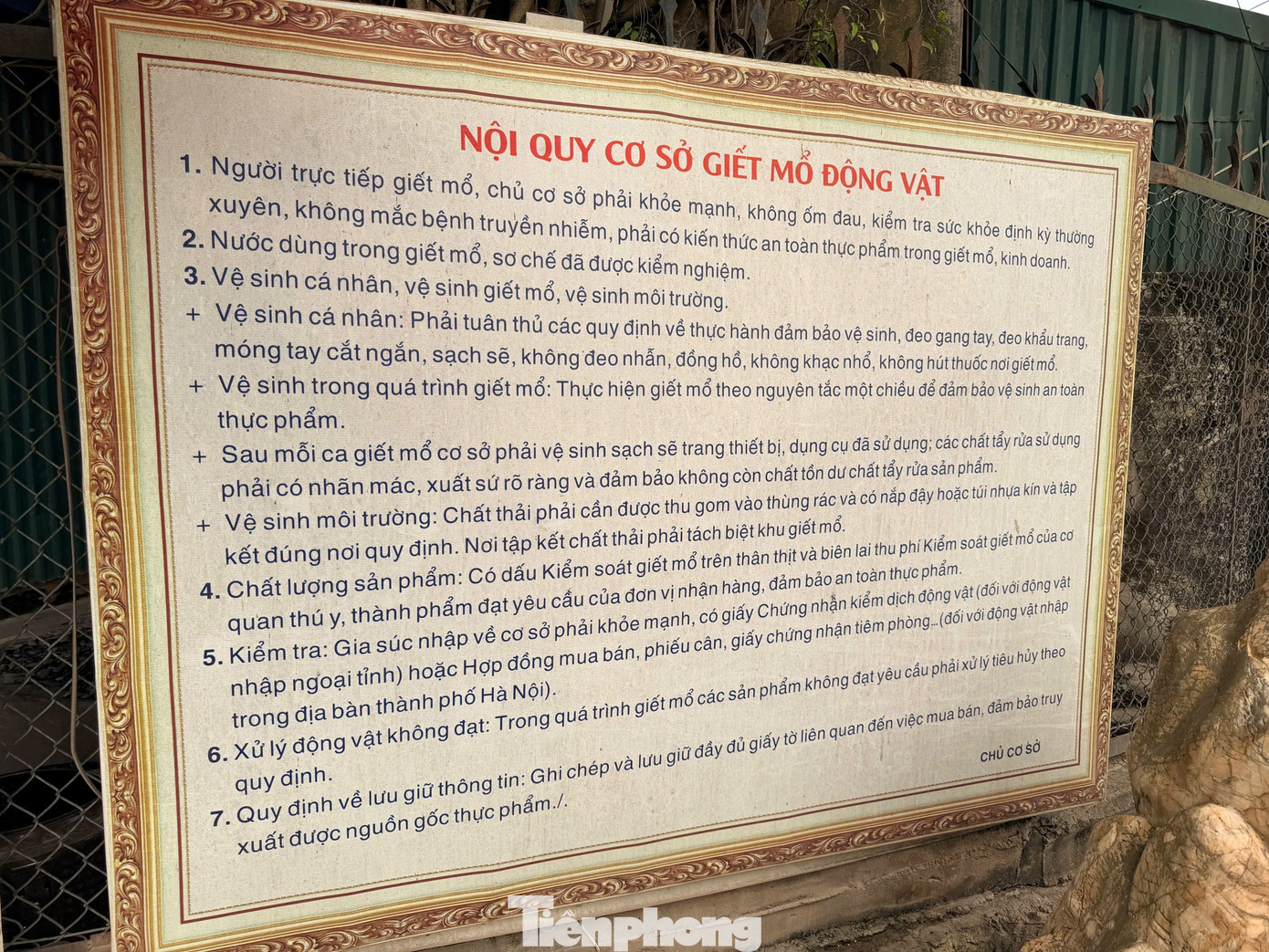 Tận thấy l&ograve; mổ gần 300 tấn lợn bệnh ở H&agrave; Nội- Ảnh 5.