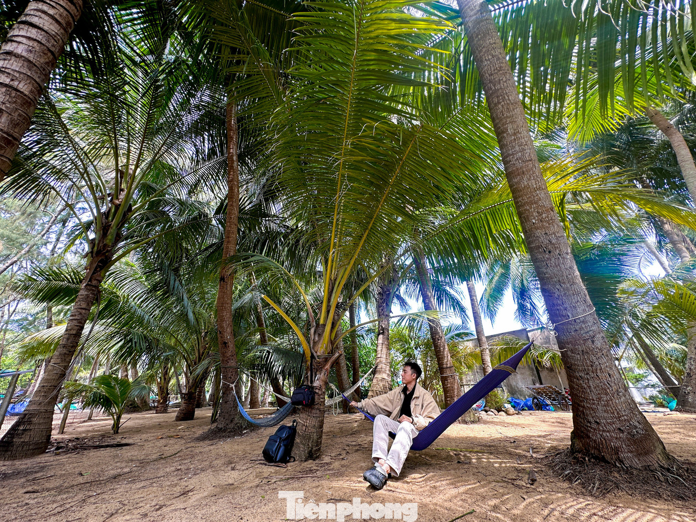 Th&iacute;ch m&ecirc; rừng dừa xanh mướt nơi x&atilde; đảo Tam Hải- Ảnh 6.