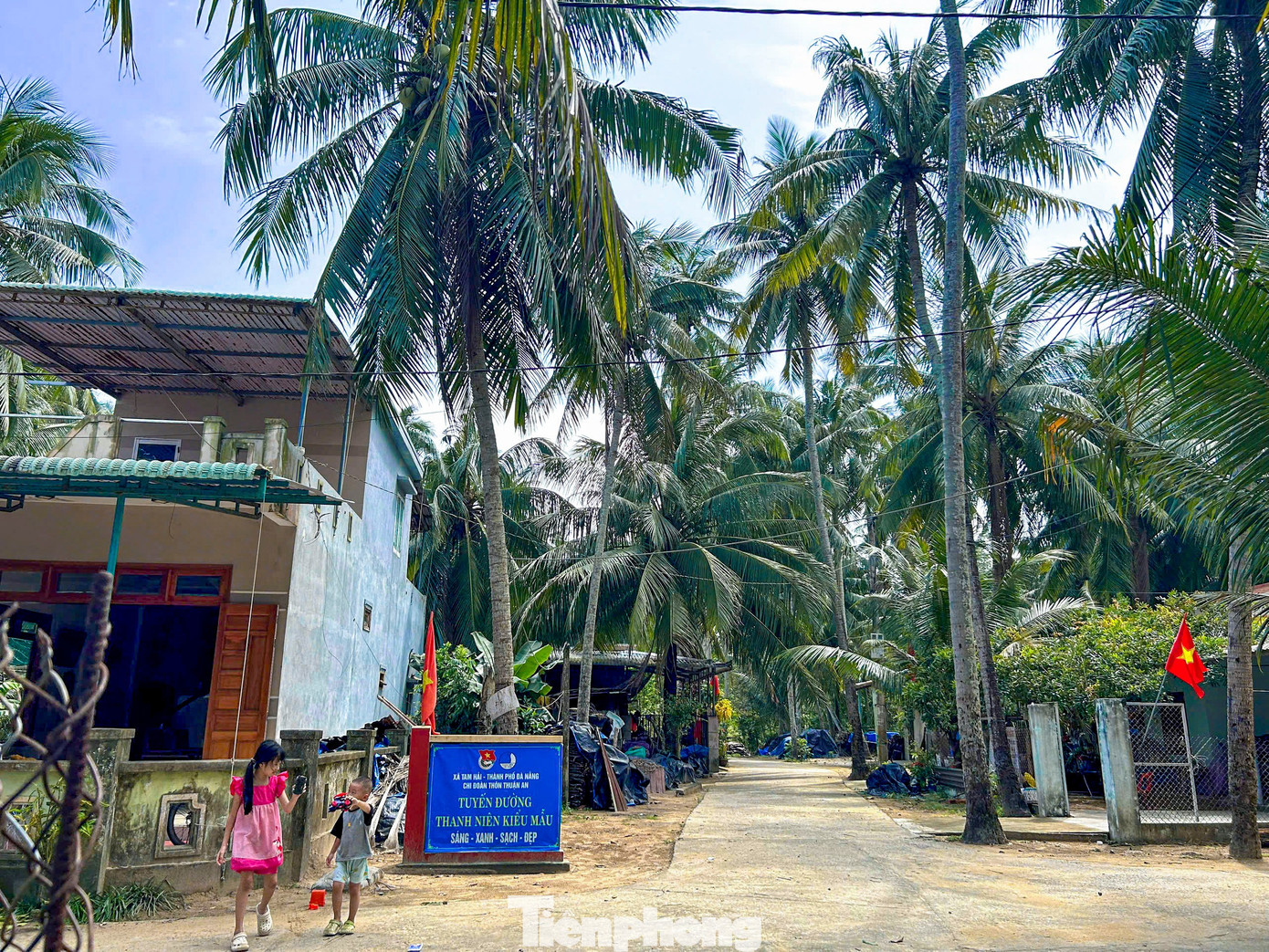 Th&iacute;ch m&ecirc; rừng dừa xanh mướt nơi x&atilde; đảo Tam Hải- Ảnh 2.