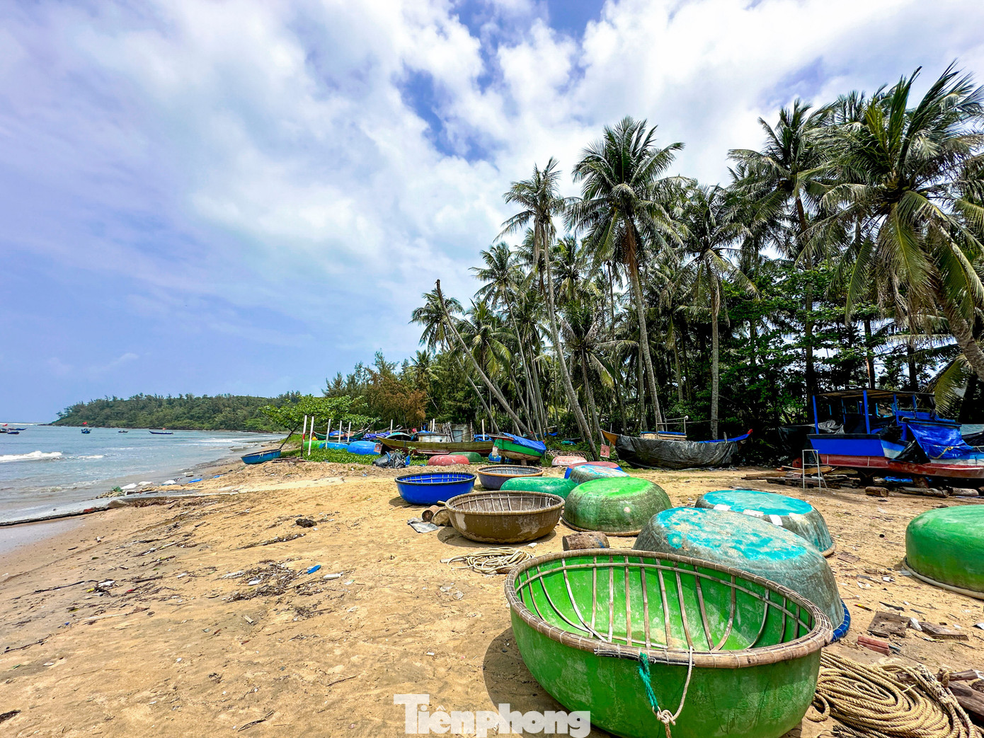 Th&iacute;ch m&ecirc; rừng dừa xanh mướt nơi x&atilde; đảo Tam Hải- Ảnh 5.