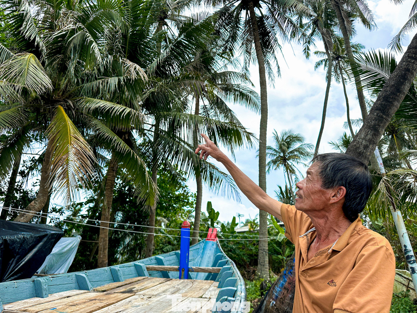 Th&iacute;ch m&ecirc; rừng dừa xanh mướt nơi x&atilde; đảo Tam Hải- Ảnh 4.