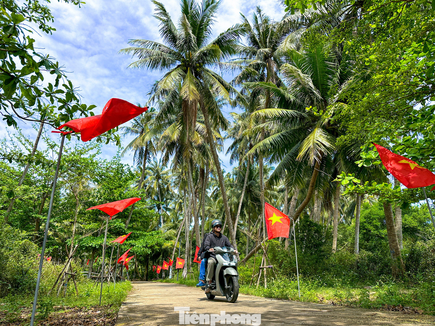 Th&iacute;ch m&ecirc; rừng dừa xanh mướt nơi x&atilde; đảo Tam Hải- Ảnh 7.