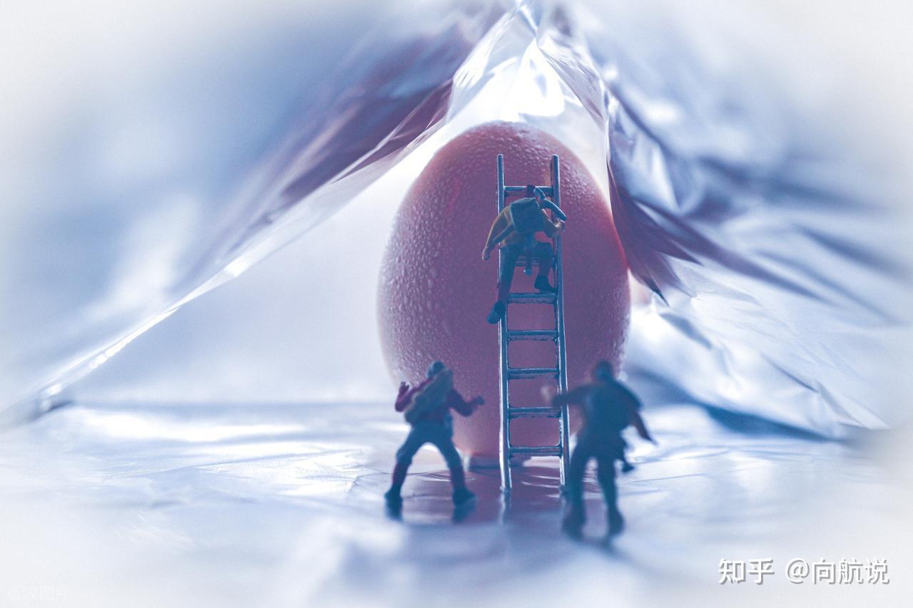 Nếu con người đẻ trứng thay vì mang thai, xã hội sẽ đảo lộn ra sao?- Ảnh 3. Nếu con người đẻ trứng thay vì mang thai, xã hội sẽ đảo lộn ra sao?- Ảnh 3.