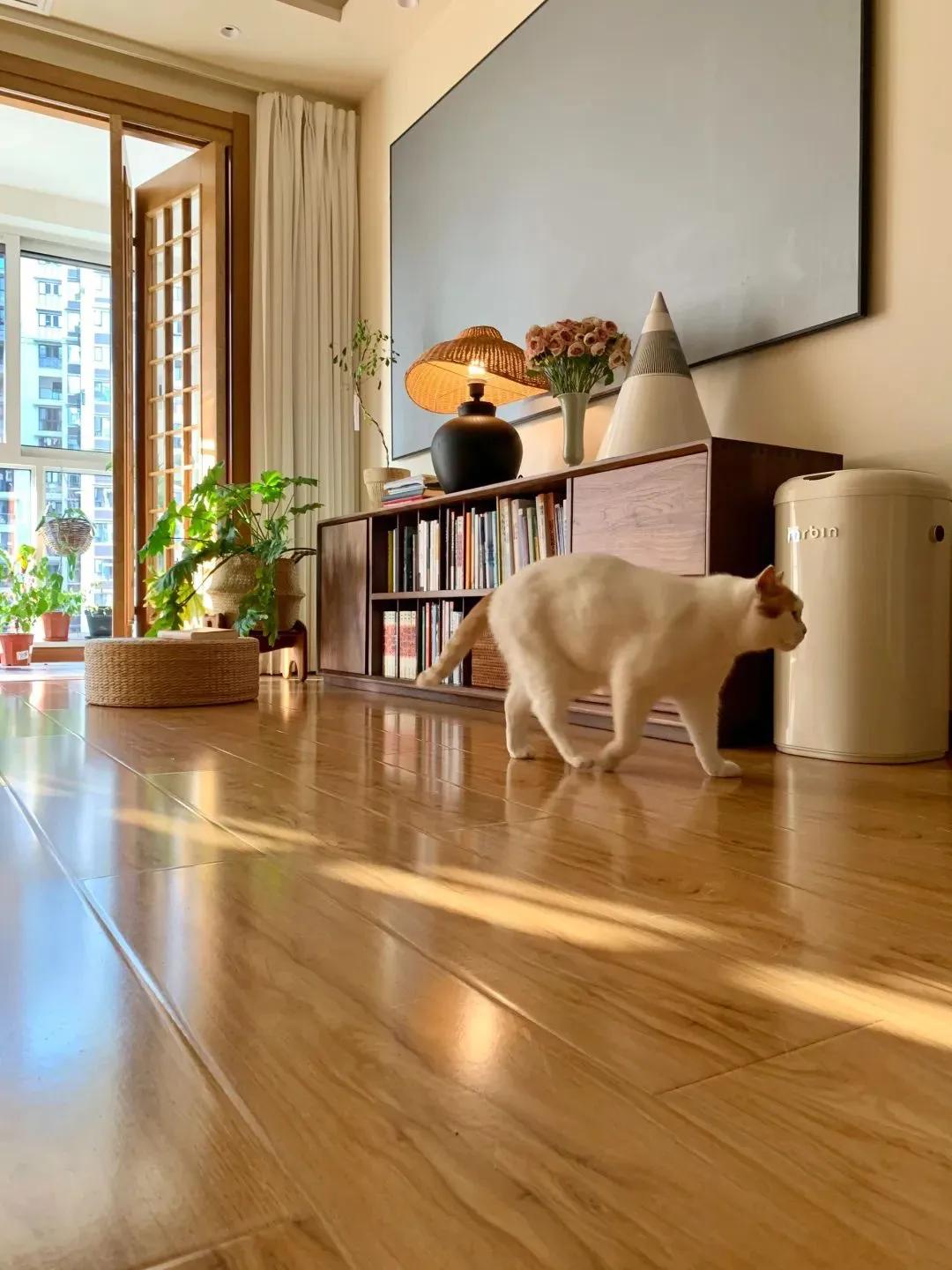 Kh&ocirc;ng mua sắm, kh&ocirc;ng tụ tập: Nữ gi&aacute;o vi&ecirc;n khiến mạng x&atilde; hội ngưỡng mộ chỉ nhờ một việc mỗi ng&agrave;y- Ảnh 4.