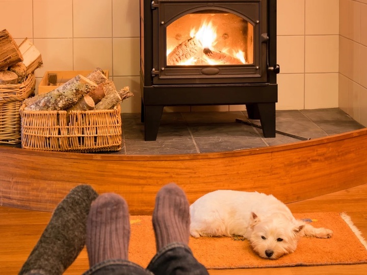 V&igrave; sao &aacute;nh s&aacute;ng đ&egrave;n v&agrave;ng gi&uacute;p ngủ ngon hơn đ&egrave;n trắng?- Ảnh 5.