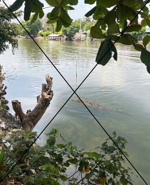 Th&ocirc;ng tin lan truyền &ldquo;c&aacute; sấu" xuất hiện tr&ecirc;n s&ocirc;ng Chắc Băng&rdquo;: Tạo ảnh bằng AI để mẹ dọa em g&aacute;i!- Ảnh 1.