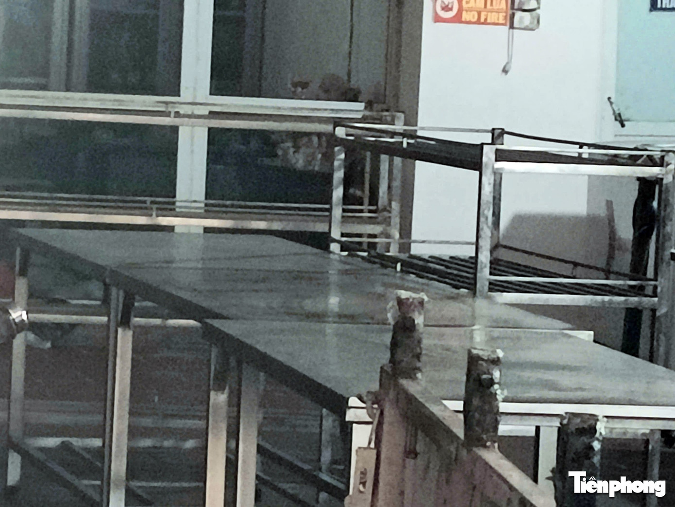 B&ecirc;n trong c&ocirc;ng ty cung cấp thịt lợn nhiễm dịch tả lợn Ch&acirc;u Phi v&agrave;o trường học- Ảnh 8.