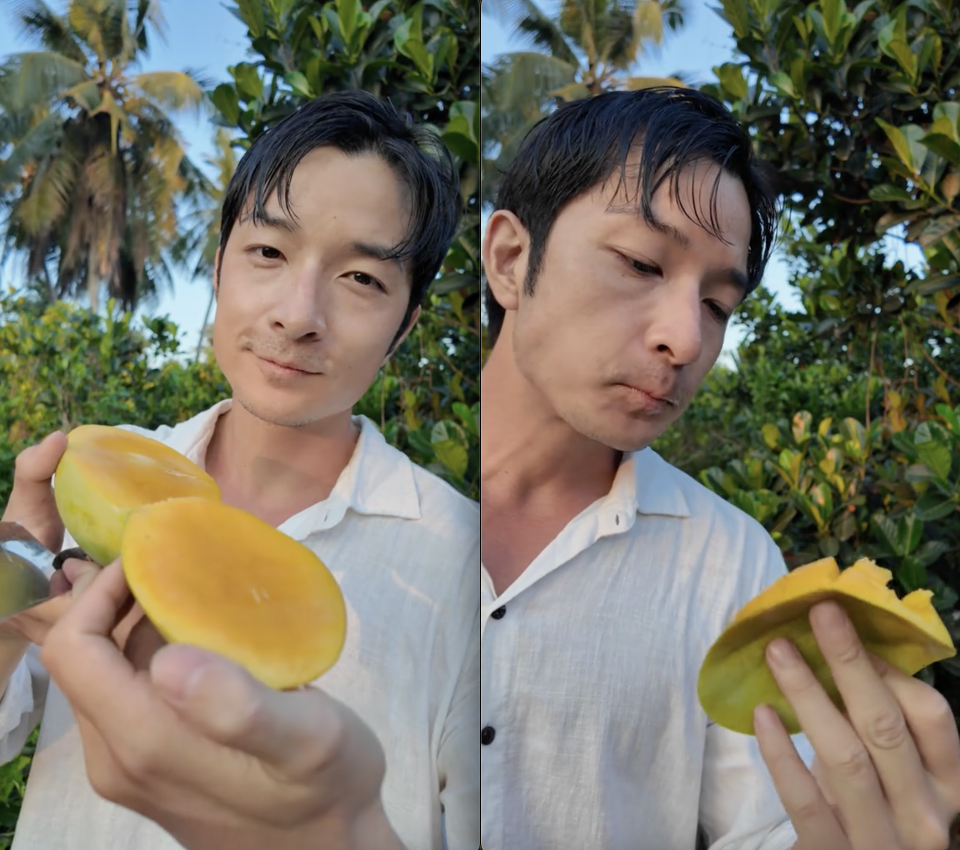 Kh&aacute;ch Nhật ăn kh&ocirc;ng ngừng 1 loại tr&aacute;i c&acirc;y Việt chỉ v&igrave;: "Ở Nhật l&agrave; 400.000 đồng 1 quả"- Ảnh 1.