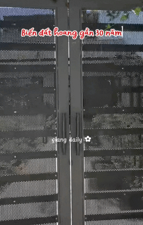 Rời H&agrave; Nội sau 13 năm, chi 500 triệu về qu&ecirc; x&acirc;y nh&agrave;: B&igrave;nh y&ecirc;n s&acirc;n vườn nhưng đi k&egrave;m &ldquo;kiếp nạn&rdquo; kh&ocirc;ng phải ai cũng hiểu- Ảnh 5.