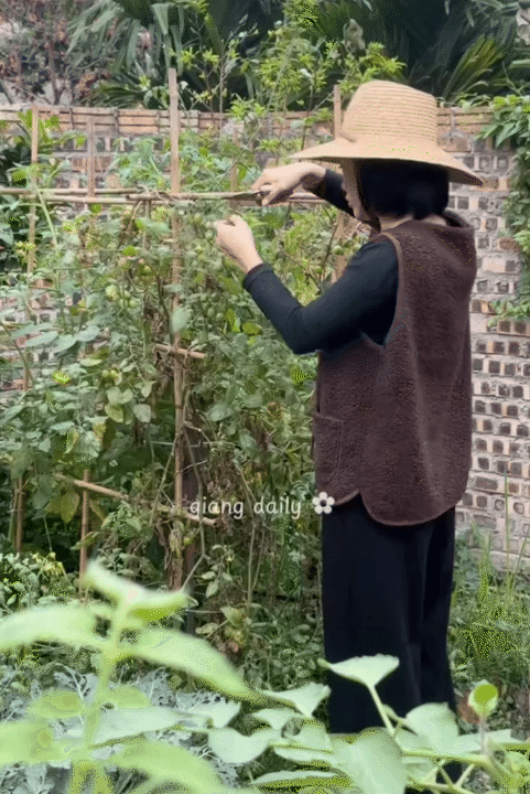 Rời H&agrave; Nội sau 13 năm, chi 500 triệu về qu&ecirc; x&acirc;y nh&agrave;: B&igrave;nh y&ecirc;n s&acirc;n vườn nhưng đi k&egrave;m &ldquo;kiếp nạn&rdquo; kh&ocirc;ng phải ai cũng hiểu- Ảnh 3.