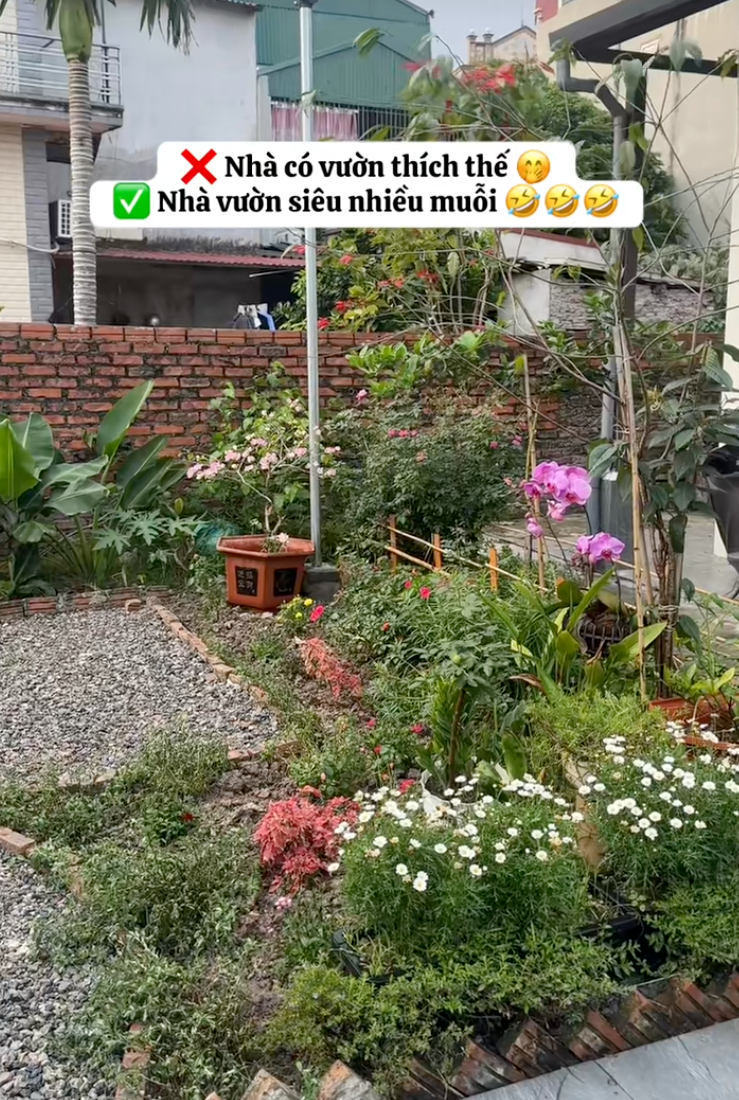 Rời H&agrave; Nội sau 13 năm, chi 500 triệu về qu&ecirc; x&acirc;y nh&agrave;: B&igrave;nh y&ecirc;n s&acirc;n vườn nhưng đi k&egrave;m &ldquo;kiếp nạn&rdquo; kh&ocirc;ng phải ai cũng hiểu- Ảnh 13.