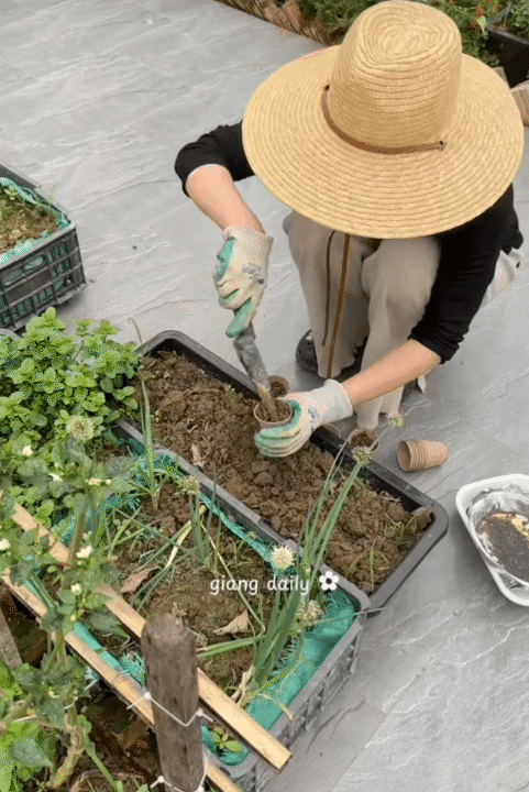 Rời H&agrave; Nội sau 13 năm, chi 500 triệu về qu&ecirc; x&acirc;y nh&agrave;: B&igrave;nh y&ecirc;n s&acirc;n vườn nhưng đi k&egrave;m &ldquo;kiếp nạn&rdquo; kh&ocirc;ng phải ai cũng hiểu- Ảnh 4.