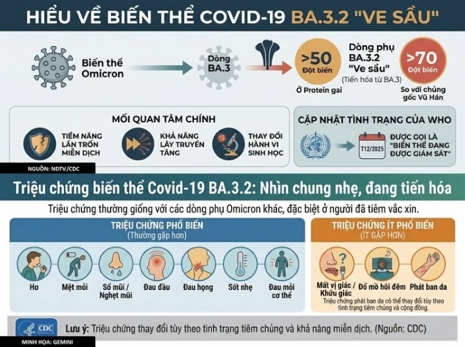 Biến thể 'Ve sầu' của COVID-19 kh&aacute;c g&igrave; so với chủng cũ?- Ảnh 1.