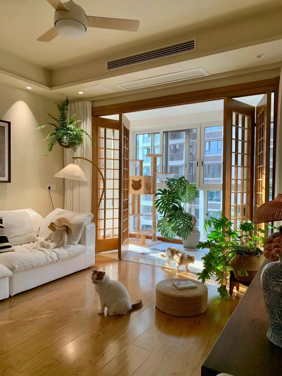 Kh&ocirc;ng mua sắm, kh&ocirc;ng tụ tập: Nữ gi&aacute;o vi&ecirc;n khiến mạng x&atilde; hội ngưỡng mộ chỉ nhờ một việc mỗi ng&agrave;y- Ảnh 3.