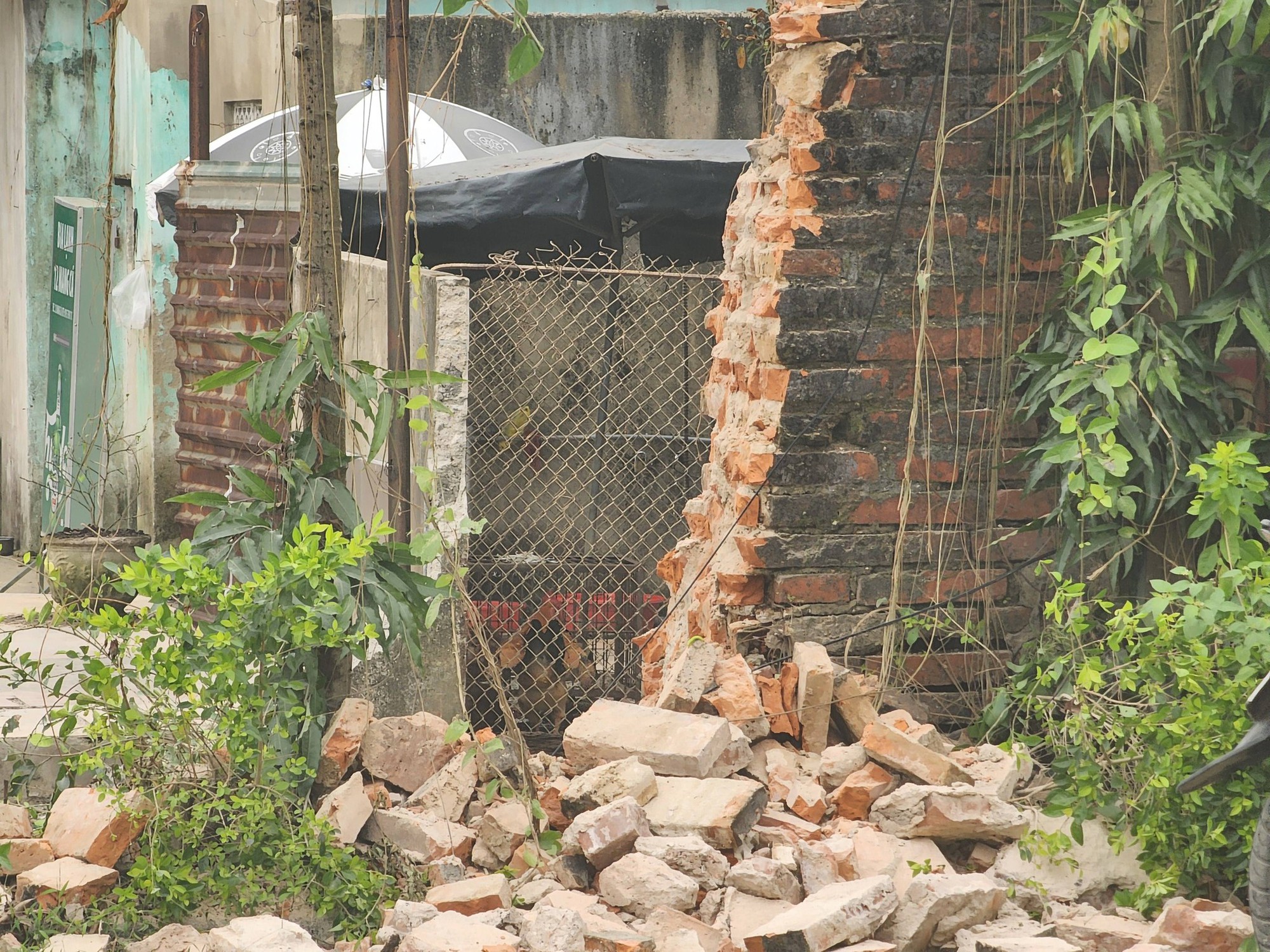 "Bức tường ô nhục" trong Kinh thành Huế được tháo dở, đường thông sau 142 năm- Ảnh 1. "Bức tường ô nhục" trong Kinh thành Huế được tháo dở, đường thông sau 142 năm- Ảnh 1.