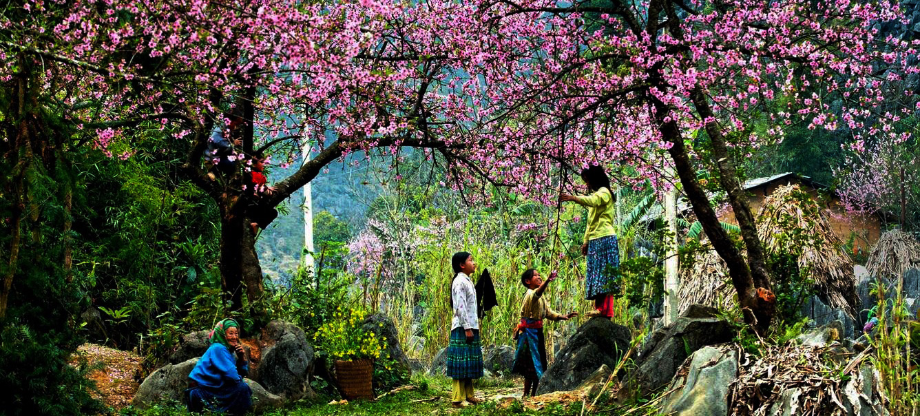 Kh&ocirc;ng phải Bali hay Chiang Mai, b&aacute;o T&acirc;y gọi t&ecirc;n một nơi ở Việt Nam l&agrave; điểm chữa l&agrave;nh đ&aacute;ng gh&eacute; nhất 2026- Ảnh 3.