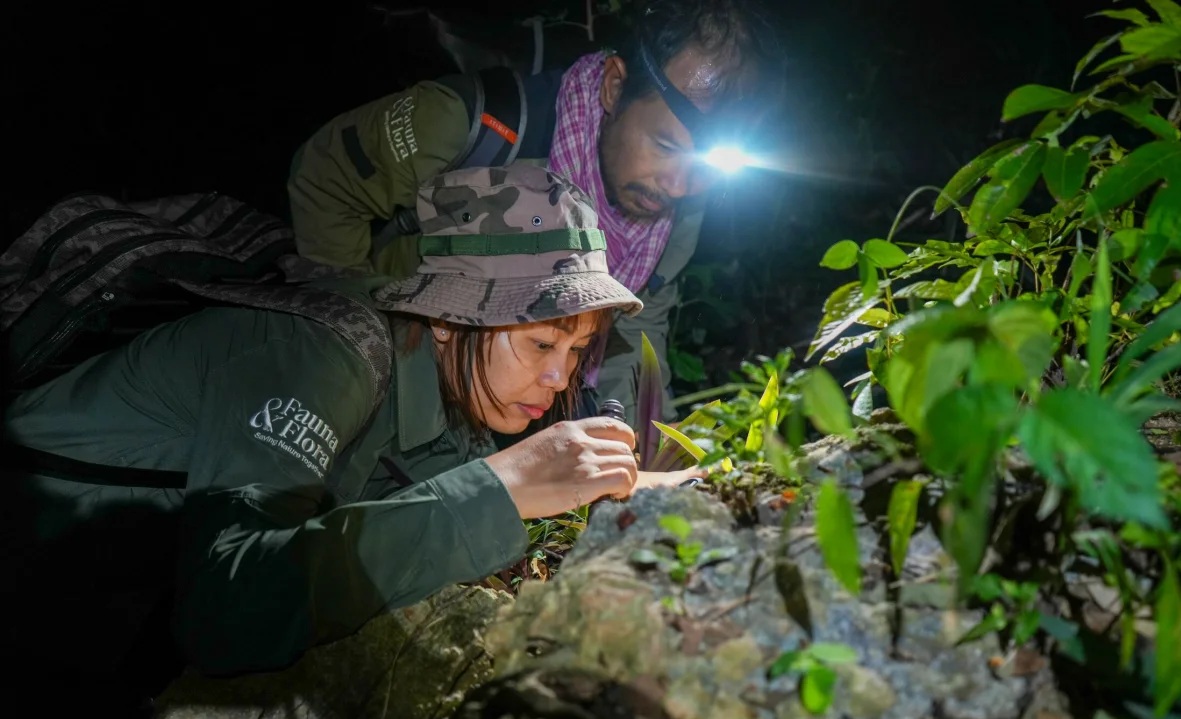 Lộ diện một loạt sinh vật chưa từng biết từ hang động Campuchia- Ảnh 1.